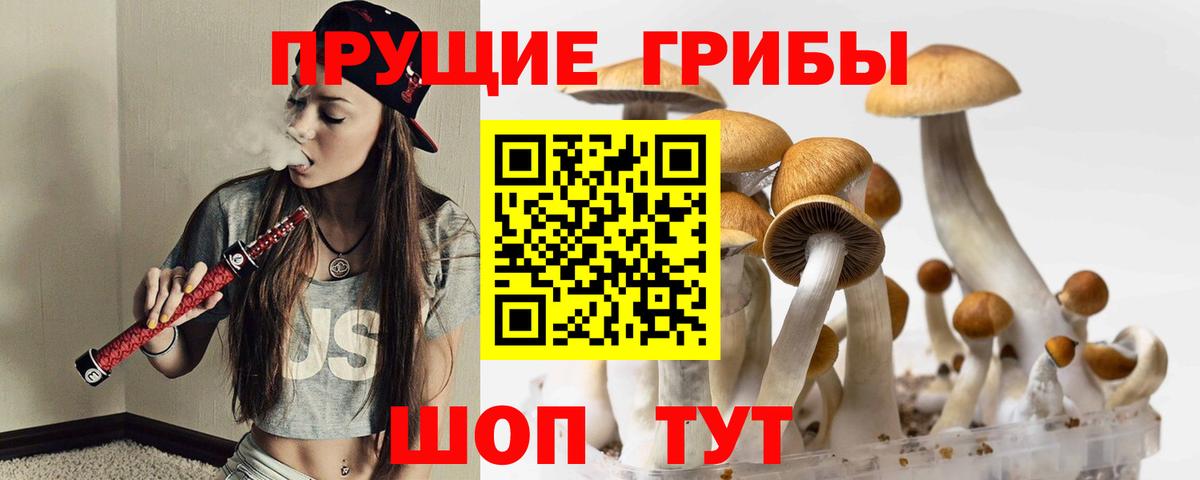 Галлюциногенные грибы ЛСД Дубна